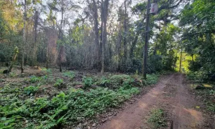 Terreno comercial à venda na Figueira (Pé da Serra), Ubatuba 
