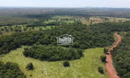 FAzenda de agropecuária, 500HA, com poço artesiano e nascentes, sede grande, currais, energia, Paracatu-MG