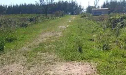 50m do mar. Terreno escriturado de 390m² em frente a restinga. Beira Mar. Frente ao acesso a praia