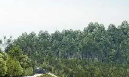 Lote - Seu lugar nas montanhas está aqui! Lotes exclusivos em Pedra Azul | ES