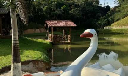 Chácara / sítio com 7 quartos à venda na Rua Prefeito José Koering, Águas Mornas, Santo Amaro da Imperatriz