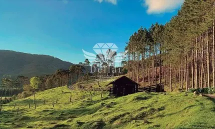 Terreno para venda em rancho queimado, invernadinha