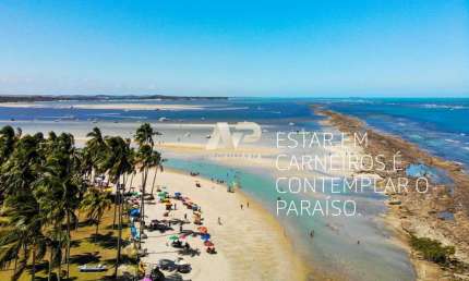 Bem-vindo ao Carneiros Atlântico Beach Flats!  38 m², 42 m² e 54 m², Obra em ritmo acelerado.