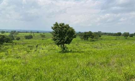 Fazenda à venda no Centro, Cáceres 