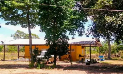 Fazenda 250 Hectares, dupla aptidão, Nossa Senhora do Livramento - MT