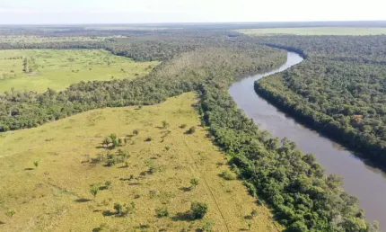 Fazenda à venda na Zona Rural, Brasnorte 