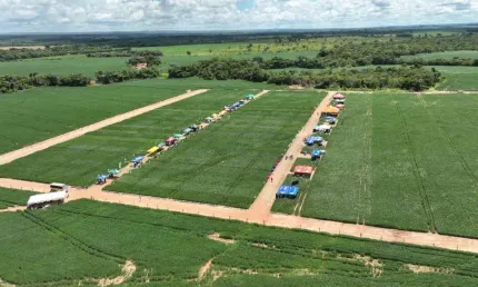 Fazenda 7817 Hectares Região de Paranatinga Plantando