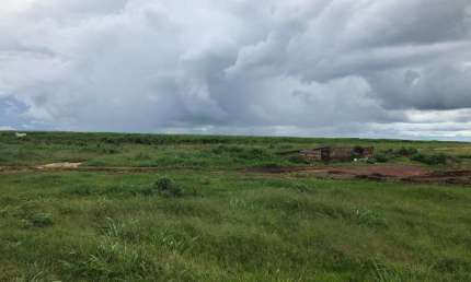 Fazenda pra venda ou arrendamento em Primavera do Leste MT
