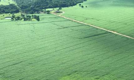 Fazenda à venda no Centro, Gaúcha do Norte 