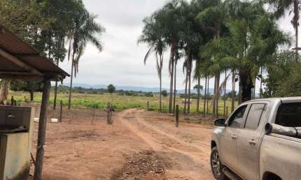 Fazenda à Venda  110 Hectares | Exclusiva para Pecuária | Próxima de