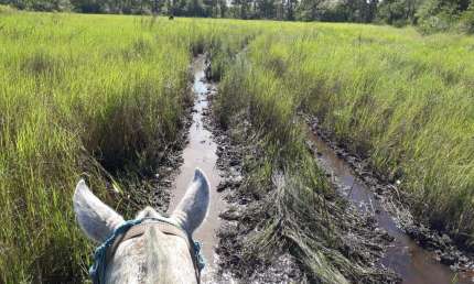 Fazenda São Sebastião  3.418 Hectares | Exclusiva para Pecuária | Po