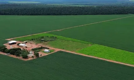 Fazenda à venda no Centro, Gaúcha do Norte 