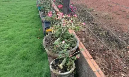 Fazenda à venda no Centro, Comodoro 