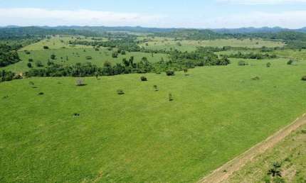 Fazenda à venda no Centro, Juara 