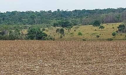 Fazenda à venda na Zona Rural, Matupá 