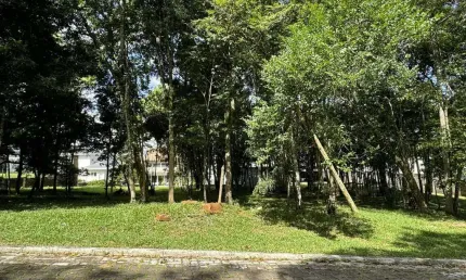 Terreno em condomínio fechado à venda na Avenida Leo Kraether, 1566, Country, Santa Cruz do Sul
