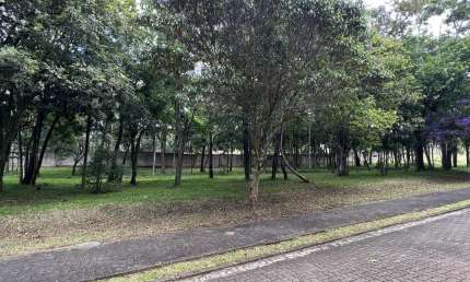 Terreno em condomínio fechado à venda na Avenida Leo Kraether, 1566, Country, Santa Cruz do Sul