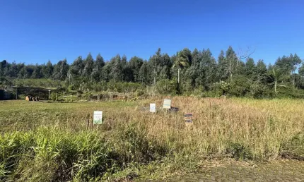Terreno à venda Linha Santa Cruz Santa Cruz do Sul/RS