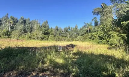 Terreno à venda Linha Santa Cruz Santa Cruz do Sul/RS