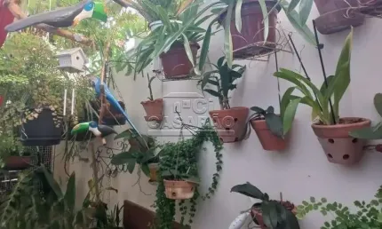 Sobrado 154M² - Bairro Santa Paula - São Caetano do Sul