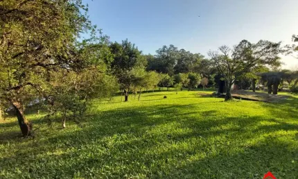 Terreno à venda na Rua Dona Mariana, 01753, Restinga, Porto Alegre