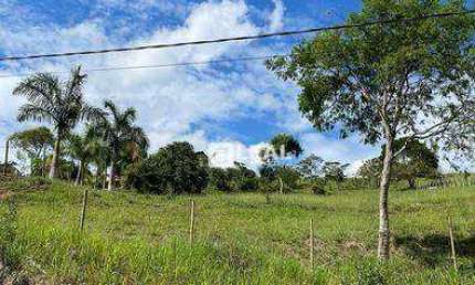 Terreno à venda, 2820 m² por R$ 120.000,00 - Parque das Colinas - Matias Barbosa/MG