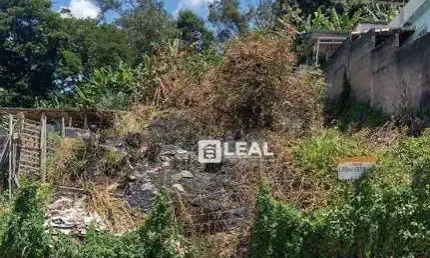 Terreno à venda, 300 m² por r$ 95.000,00 - monte alegre - matias barbosa/mg