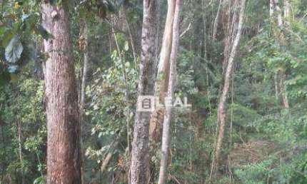 Terreno à venda, 1020 m² por R$ 85.000,00 - Pitangueiras - Matias Barbosa/MG