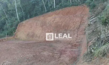 Terreno à venda, 2632 m² por R$ 88.000,00 - Pitangueiras - Matias Barbosa/MG