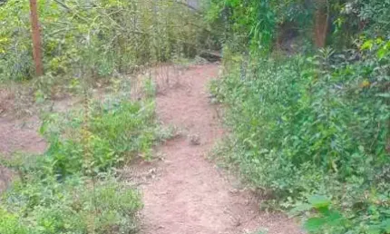 Chácara / sítio à venda na Estrada Ecoturística de Parelheiros, 3, Jardim Almeida, São Paulo