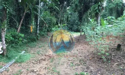 Terreno à venda na Figueira (Pé da Serra), Ubatuba , 200 m2 por R$ 850.000