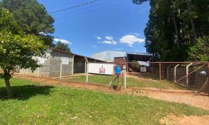 Barracão / Galpão / Depósito para alugar na Rua Antonia Buturi Necatschalon, Colônia Dona LuÍza, Ponta Grossa