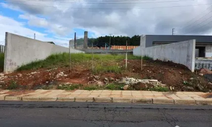 Terreno comercial para alugar na Avenida Monteiro Lobato - Até 1785/1786, S/N, Jardim Carvalho, Ponta Grossa