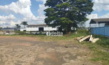 Terreno disponível para locação no bairro industrial em uberlândia-mg
