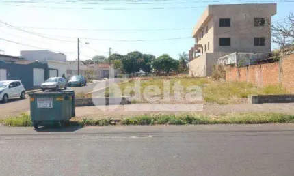 Terreno disponível para aluguel no bairro Alto Umuarama em Uberlândia-MG