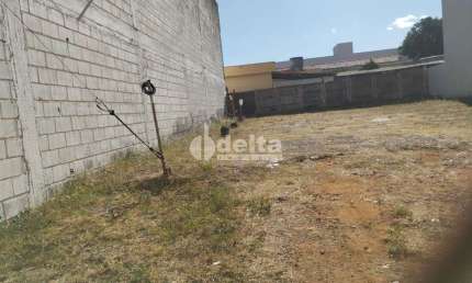 Terreno disponível para locação no bairro Nossa Senhora Aparecida em Uberlândia-MG