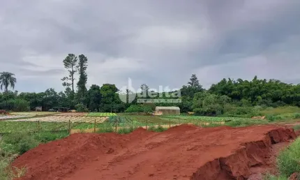 Terreno disponível para locação no bairro Shopping Park em Uberlândia-MG