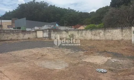 Terreno disponível para locação no bairro Alto Umuarama em Uberlândia-MG