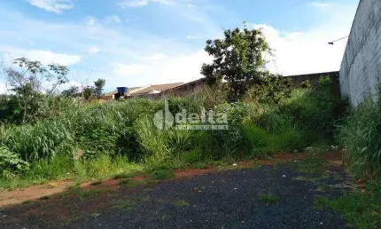Terreno disponível para locação no bairro Dona Zulmira em Uberlândia-MG