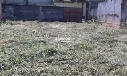 Terreno disponível para locação e venda no bairro Saraiva em Uberlândia-MG