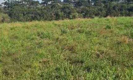 Chácara / sítio à venda na Estrada Salto Do Engenho, Centro, Campo Alegre