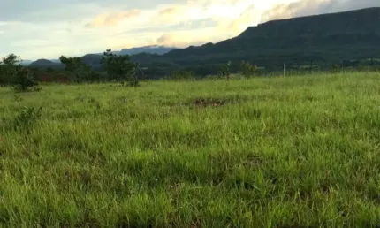 Fazenda à venda na Rua Principal, Zona Rural, Pedra Preta