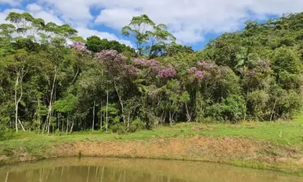 Sítio para venda em são pedro de alcântara/sc - si240