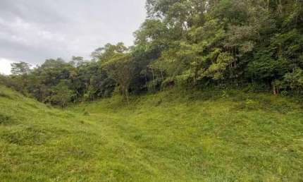 Sítio para venda em São Pedro De Alcântara/SC - SI238