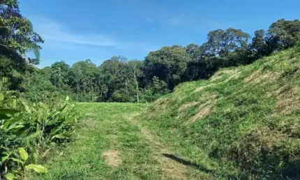 Sítio para venda em São Pedro De Alcântara/SC - SI237