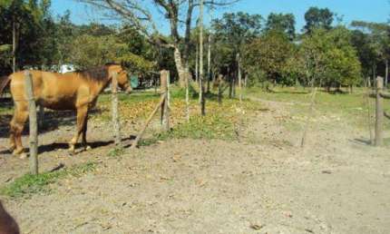 Chácara para Venda em Itanhaém, Jardim Coronel, 1 dormitório, 1 banheiro