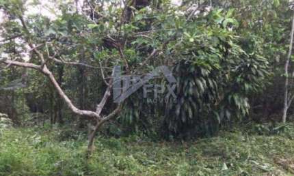Chácara / sítio à venda no São Fernando, Itanhaém 