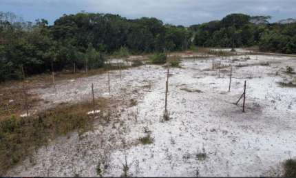 Terreno à venda no Jardim Regina, Itanhaém 