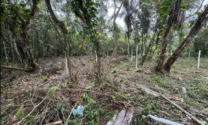 Terreno à venda em Balneário Marambaia, Itanhaém 