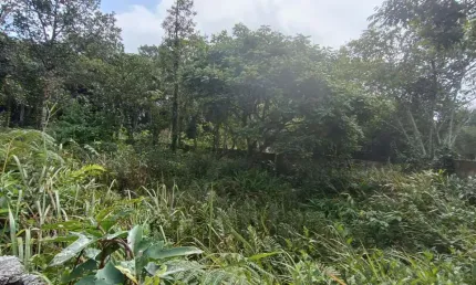 Terreno à venda em Balneário Marambaia, Itanhaém 